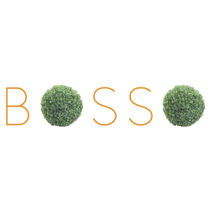 Bosso product logo