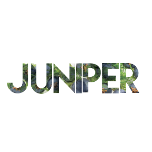 Juniper product logo